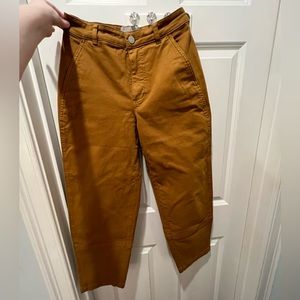 Everlane Barrel Pants